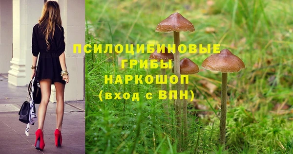 твердый Белокуриха