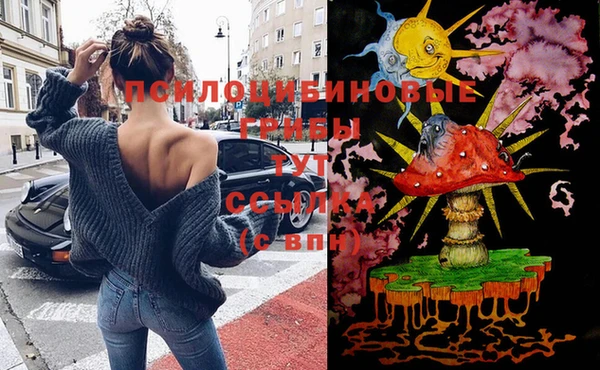 мдпв Богородицк